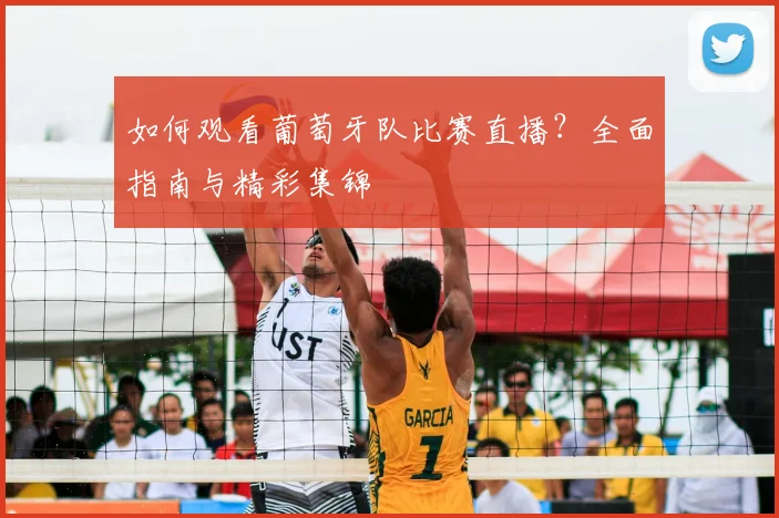 如何观看葡萄牙队比赛直播？全面指南与精彩集锦
