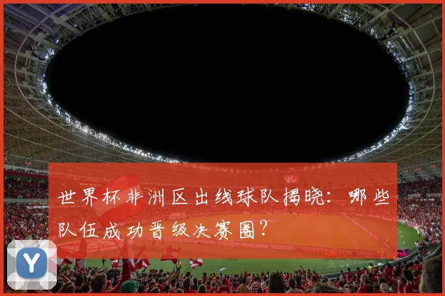 世界杯非洲区出线球队揭晓:哪些队伍成功晋级决赛圈?