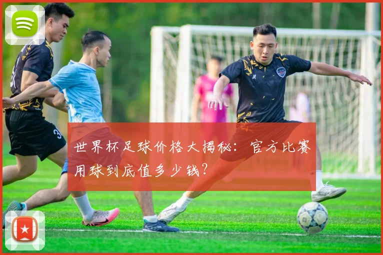 世界杯足球价格大揭秘：官方比赛用球到底值多少钱？