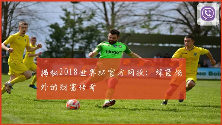 揭秘2018世界杯官方网投：绿茵场外的财富传奇