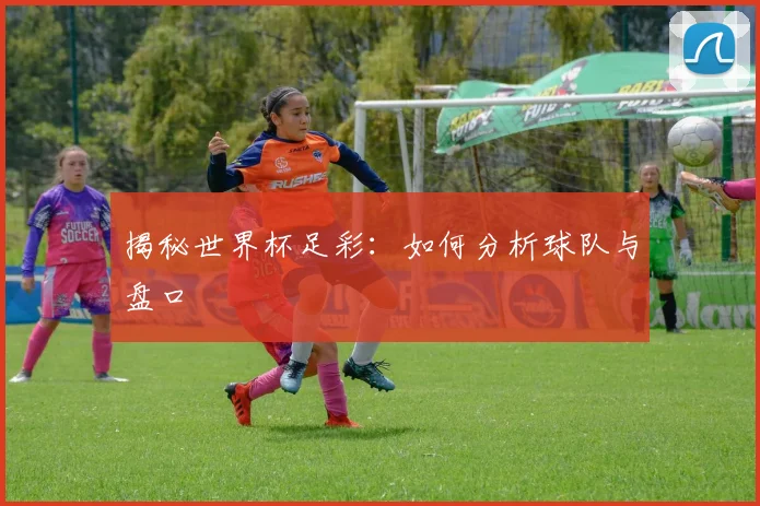 揭秘世界杯足彩：如何分析球队与盘口