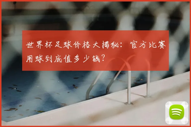 世界杯足球价格大揭秘:官方比赛用球到底值多少钱?